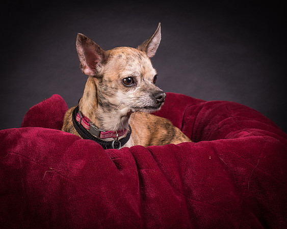 Foster Selina-1122