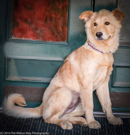 Foster Presha-9424