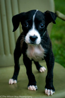 Foster Bennett-3846