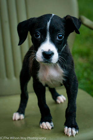 Foster Bennett-3846