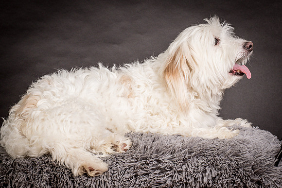 Foster Frosty-0634