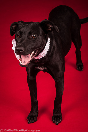 Carlee-6376