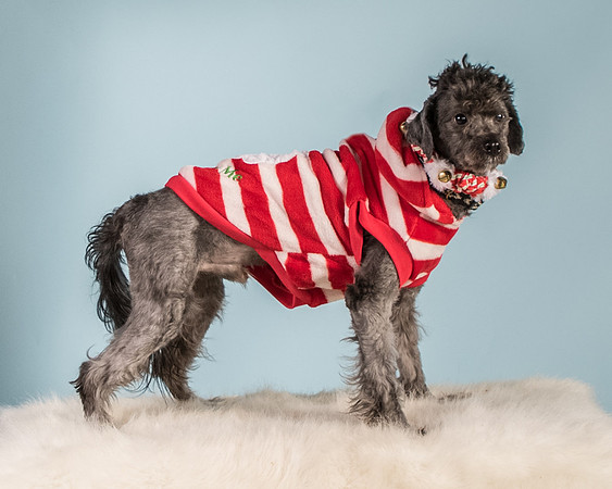 Foster Oakland-5572