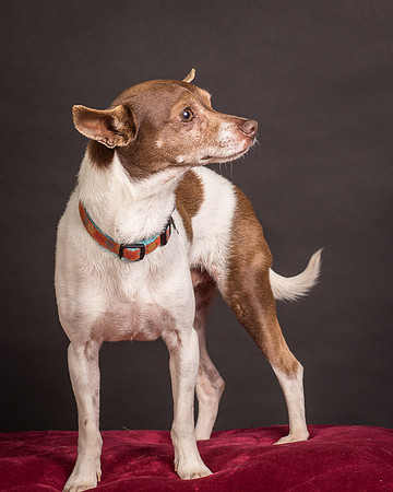 Foster Gus-0345