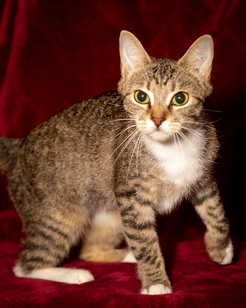 Foster Danni-9467
