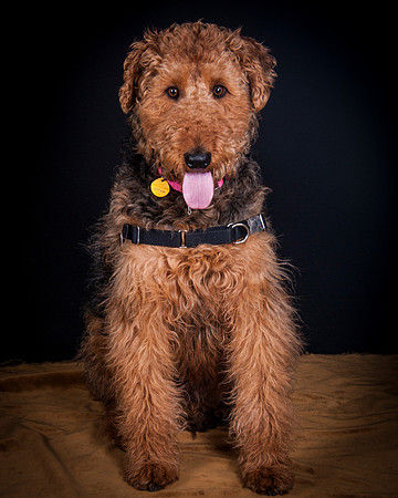 Dixie Lou-5629