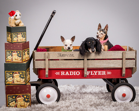 Foster Hospice Gang-3845
