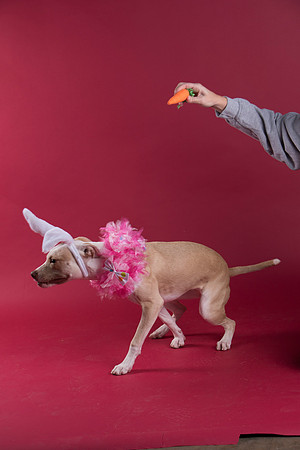 Calendar Bloopers-9002