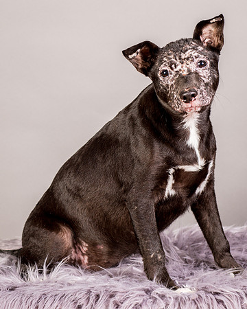 Foster Kendal-8751