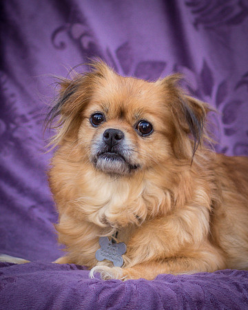 Foster Tia Maria-7840