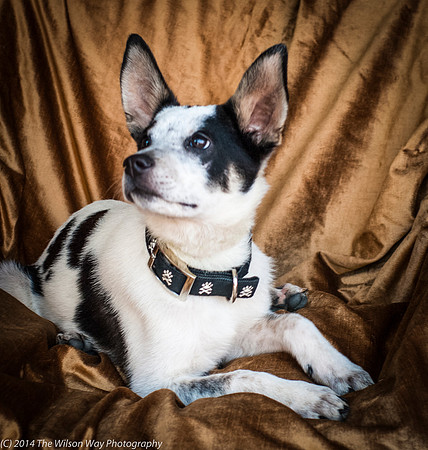 Foster Oliver-8955