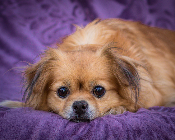 Foster Tia Maria-7856