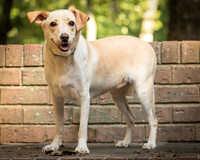 Foster June-8431