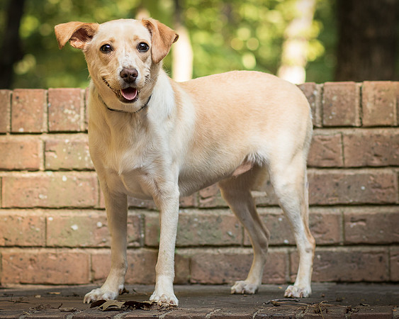 Foster June-8431