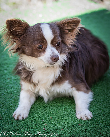 Foster Chico-4827