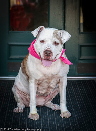 Foster Snickers-9296