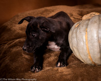 Foster Beryl-6284