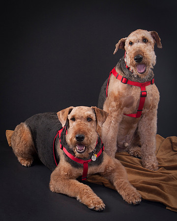 Martha May & Smitty-5196