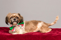 Foster Toffee-4615