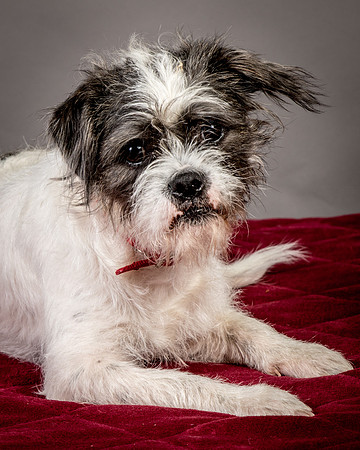 Foster Leeza-2683