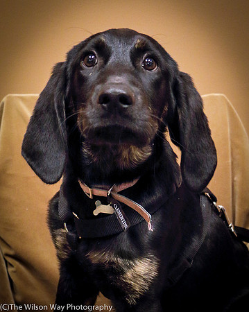 Foster Clementine-1291