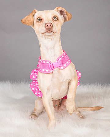 Foster Sigourney-9611