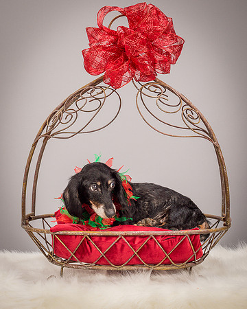 Foster Bernice-3733