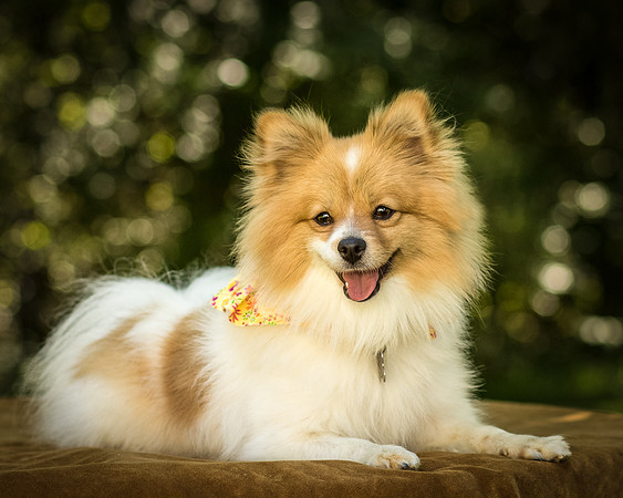 Foster Sydney-7585