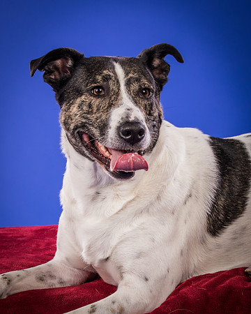 Bruns-Melo and Gracie-3049