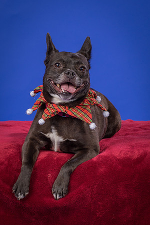 Slattery-Bella-0097