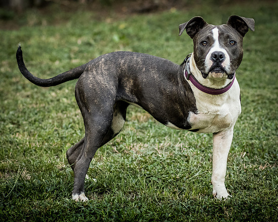 Foster Maya-0189