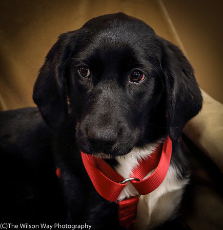 Foster Carolina-0868