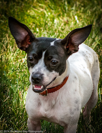 Foster Melia-9820
