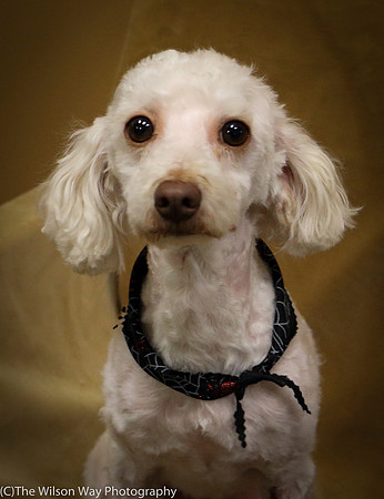 Foster Loretta-0245