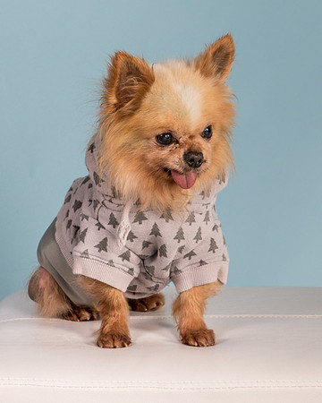 Foster Horace-0925