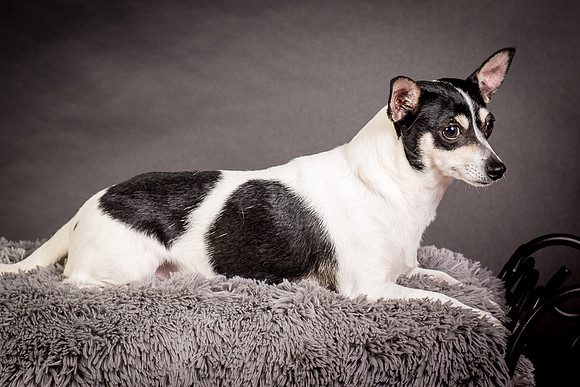 Foster Richa-0488