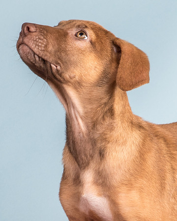 Foster Bronwyn-8389