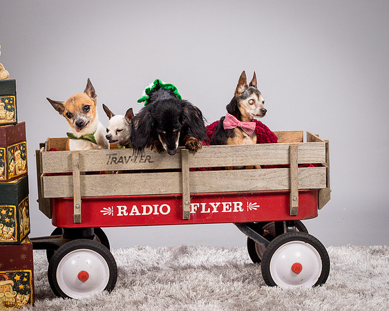 Foster Hospice Gang-3940
