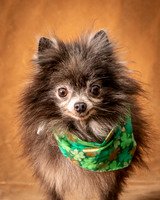 Foster Loretta-1245