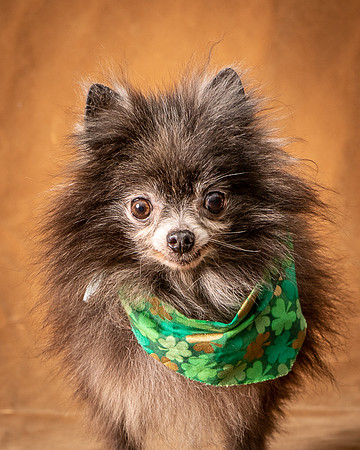 Foster Loretta-1245
