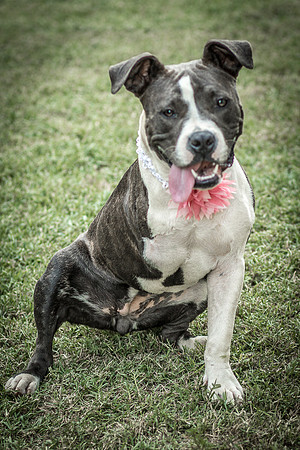 Foster Maya-0326