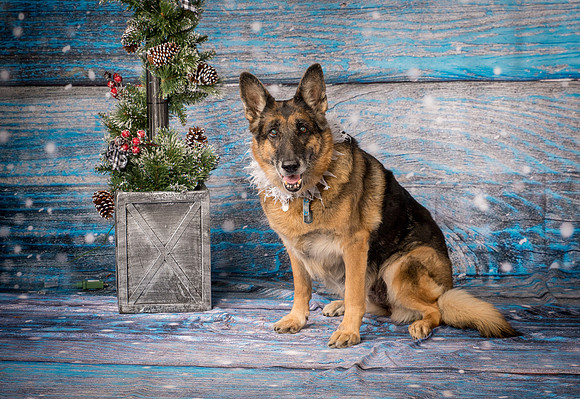 Wilson-3440