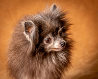 Foster Loretta-1260