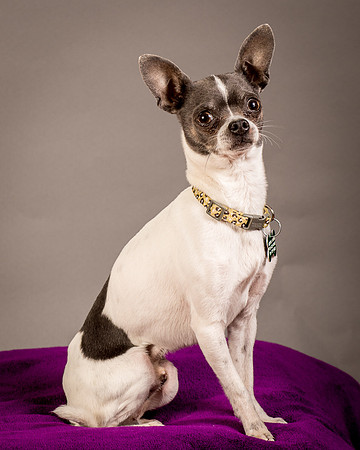 Foster Wesley-4919