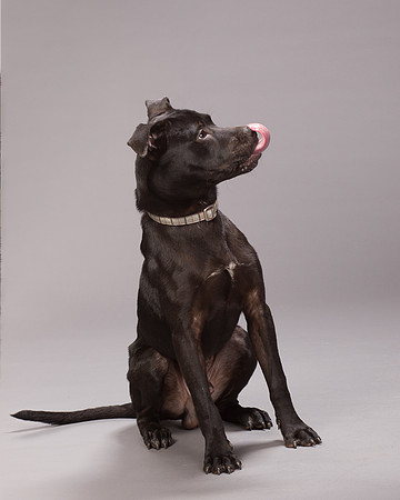 Foster Adam-7001