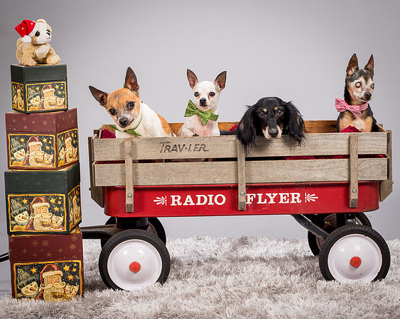 Foster Hospice Gang-3893