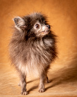 Foster Loretta-1256