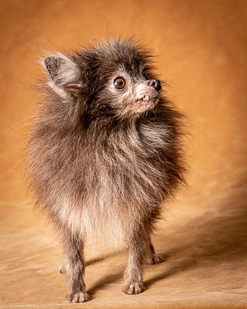 Foster Loretta-1256