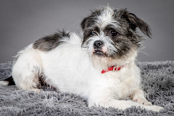 Foster Leeza-2623
