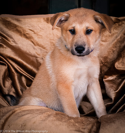 Foster Luca-9008